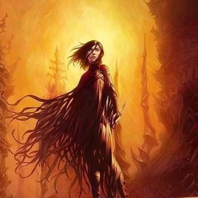 Vin (Mistborn)